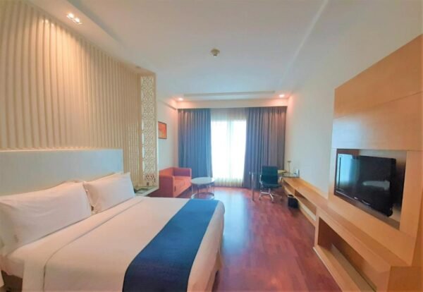 Amritsar Holiday Inn Raddison - Gallery 3