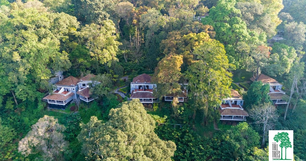 The Tall Trees Munnar, Kerala